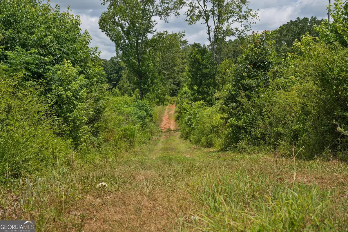 47 Askin Place, Culloden, GA 31016 - #1