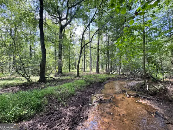 TBD Wooten Road, Cuthbert, GA 39840