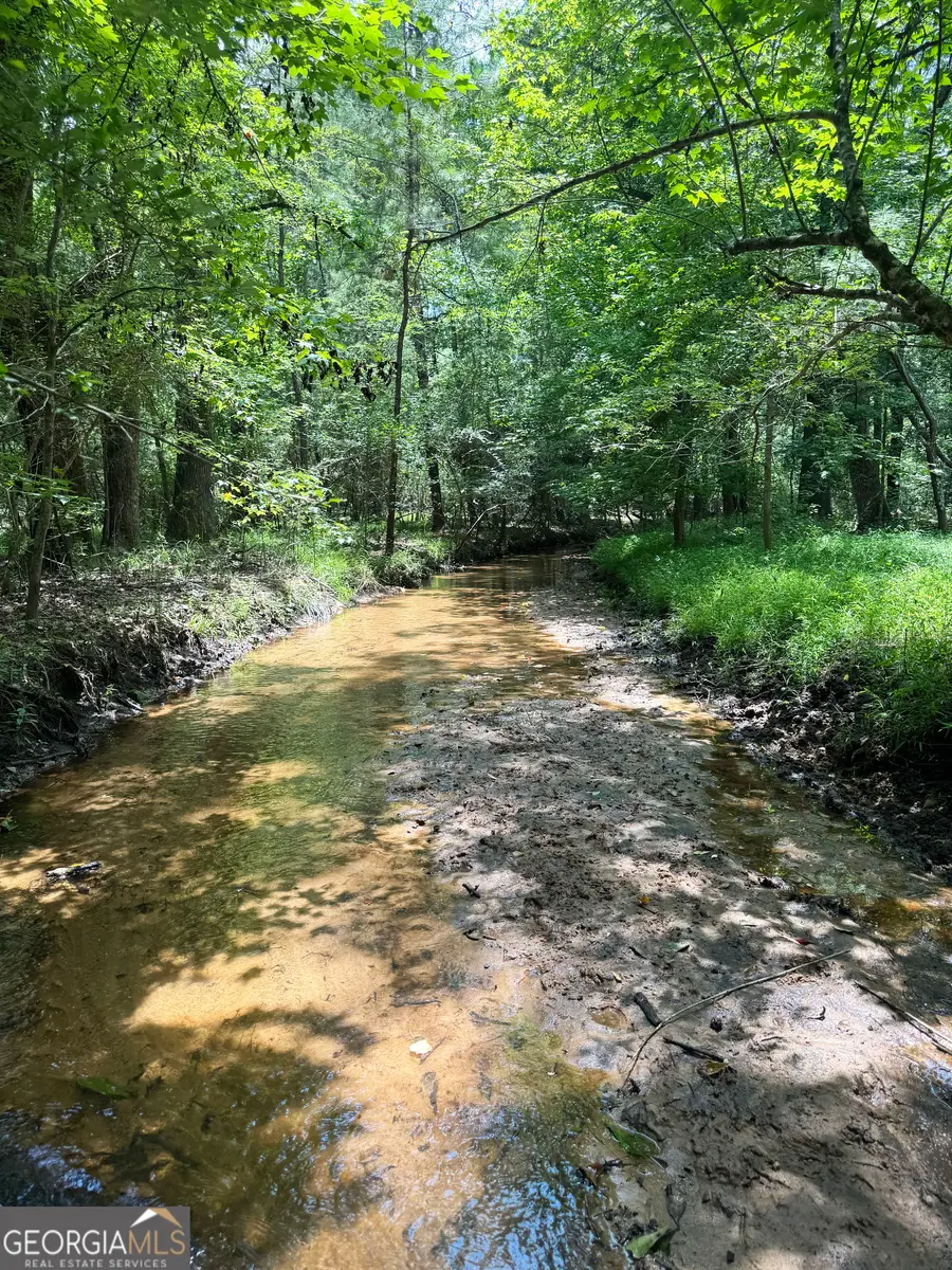 0 Wooten Road, Cuthbert, GA 39840 - #2