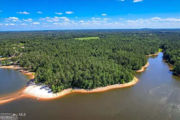 0 Hwy 378 And Ann Scott Dr, Lincolnton, GA 30817