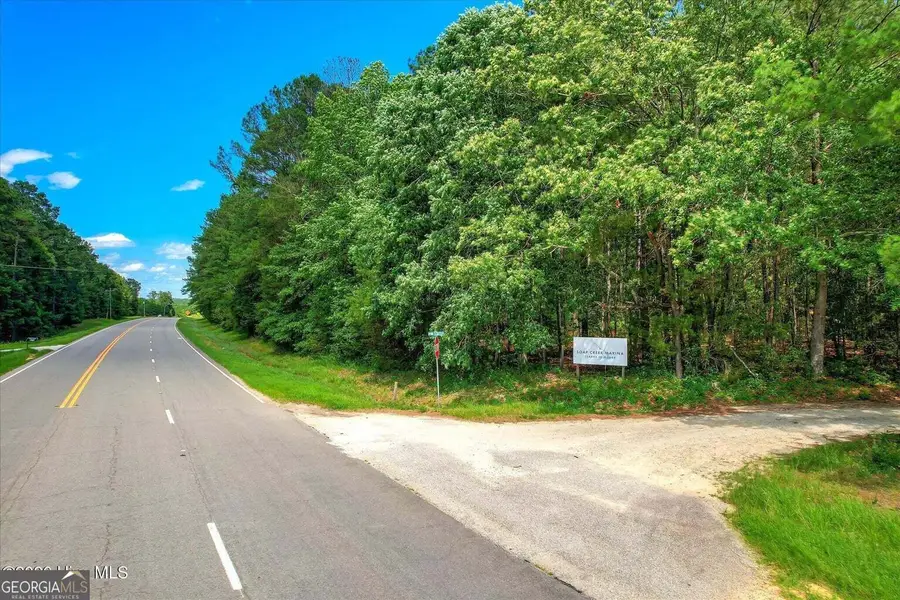 0 Hwy 378 And Ann Scott Dr, Lincolnton, GA 30817 - #2