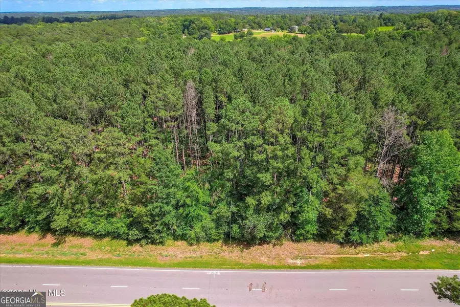 0 Hwy 378 And Ann Scott Dr, Lincolnton, GA 30817 - #3