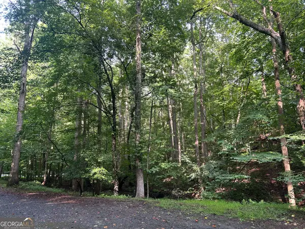 0 Shiloh Court #132, Ellijay, GA 30540
