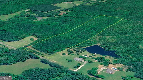 0 Hair Lake Road, Summerville, GA 30747