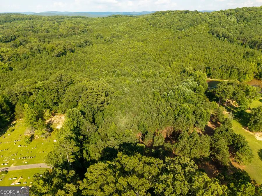 0 Hair Lake Road, Summerville, GA 30747 - #3