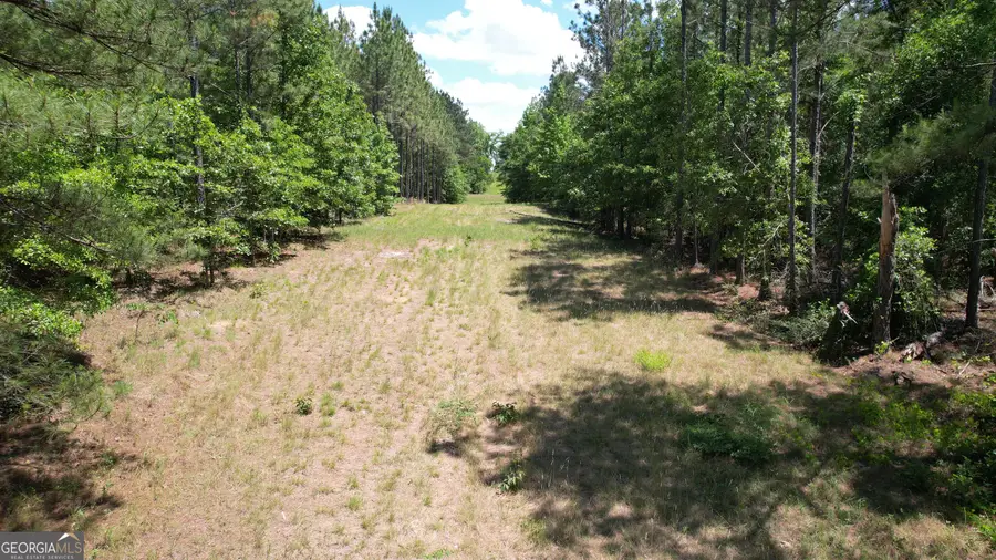 ROSE LOT Dublin Eastman Road, Dexter, GA 31019 - #3