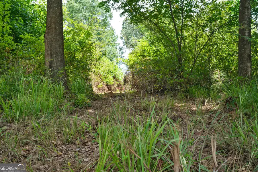 68 Askin Place, Culloden, GA 31016 - #2
