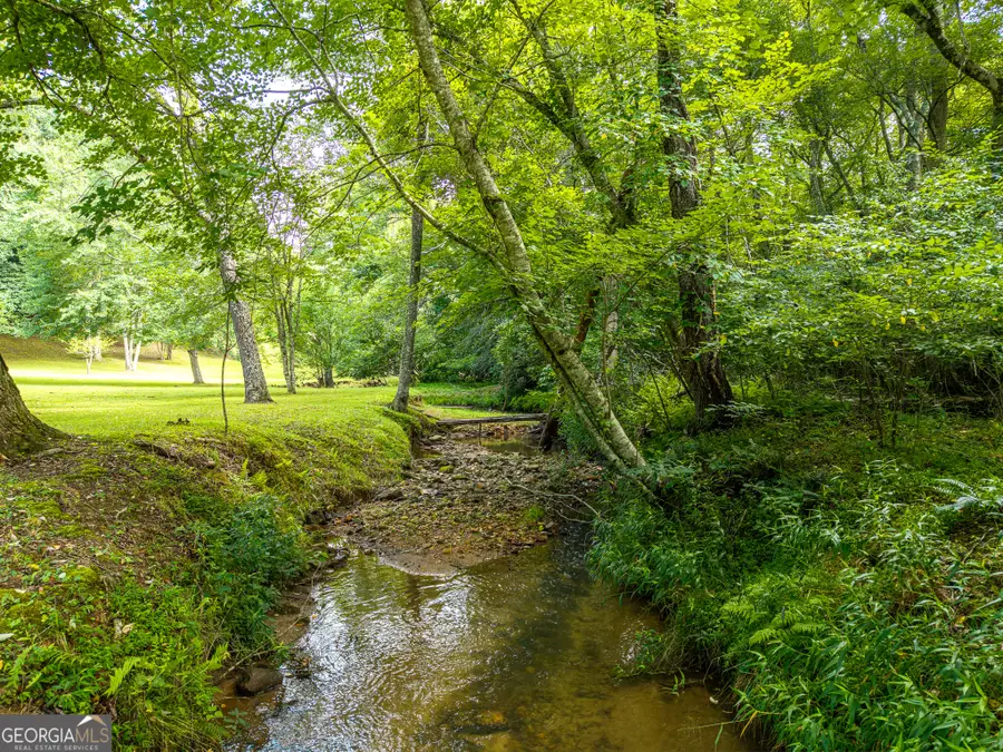 1347 Ivylog Drive, Blairsville, GA 30512 - #3