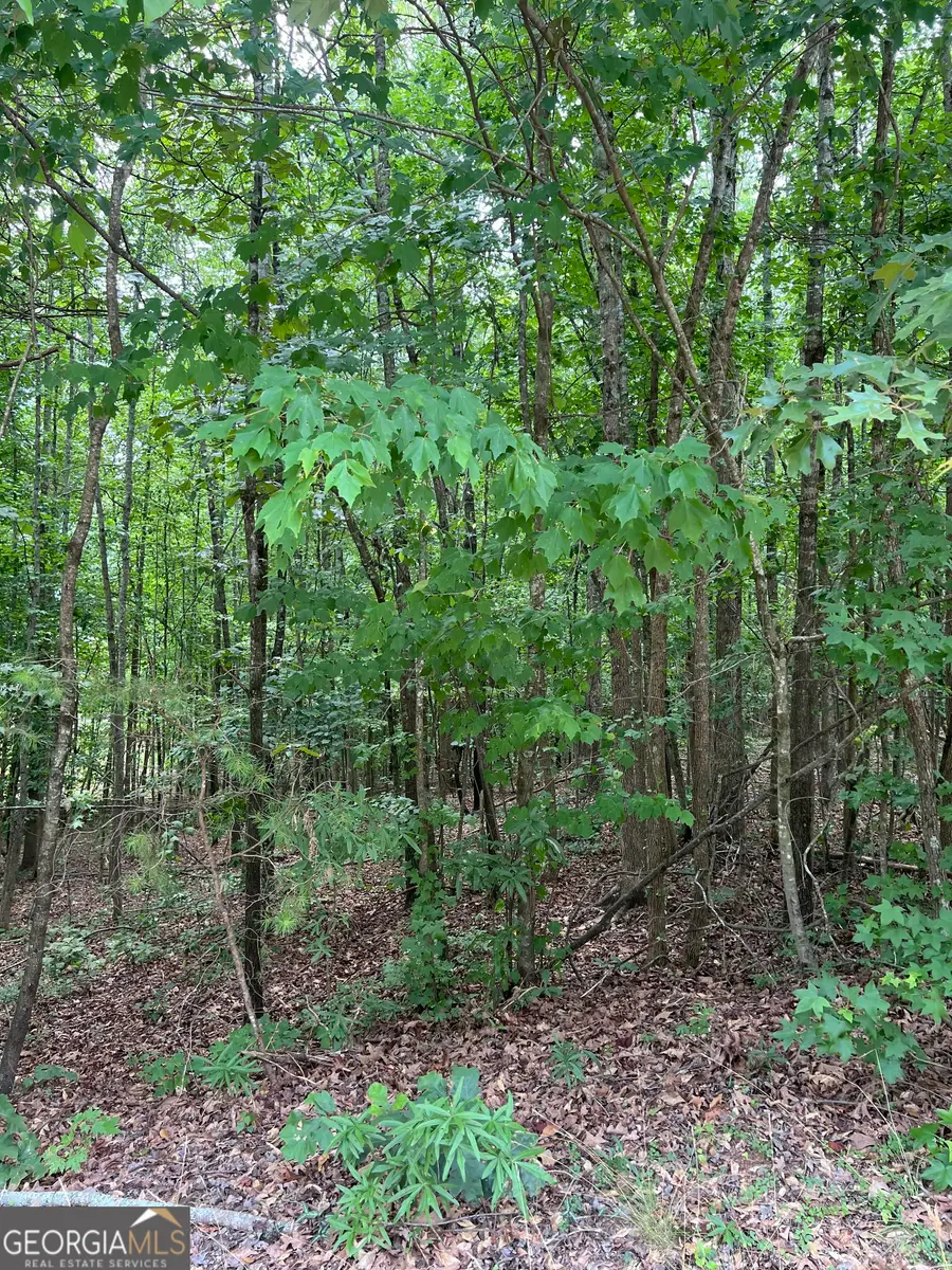 7655 Fern Lane, Lula, GA 30554 - #2