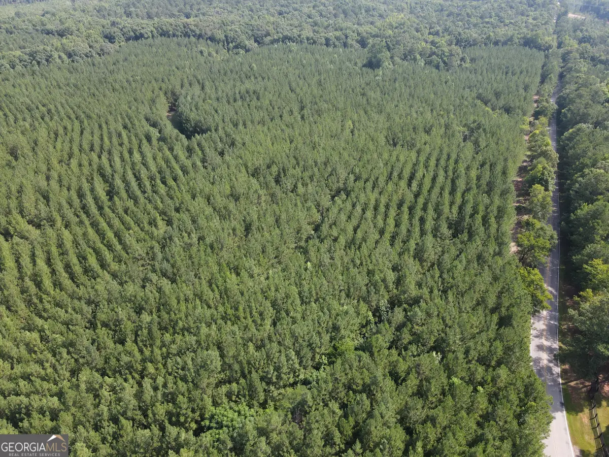 0 Lower Harmony Rd, Eatonton, GA 31024 - #1