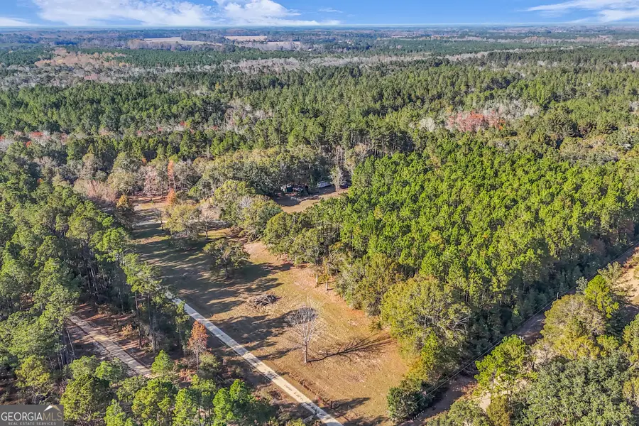 4931 Mill Branch Club Road, Pembroke, GA 31321 - #3
