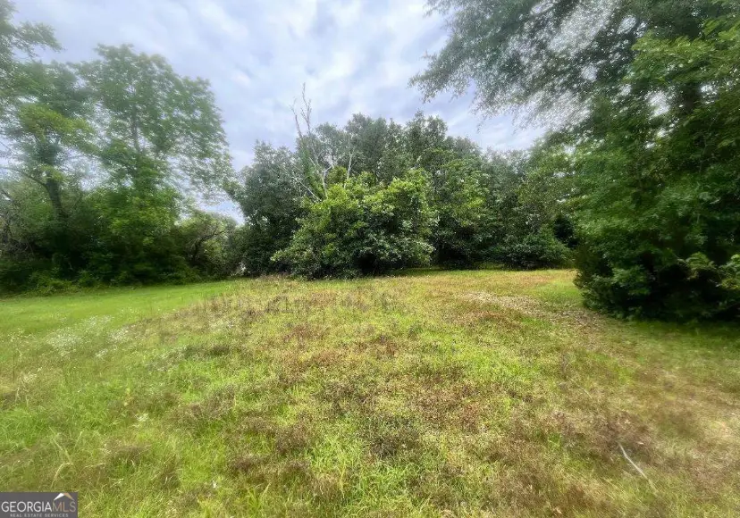 1318 E Roosevelt Avenue, Albany, GA 31705 - #1