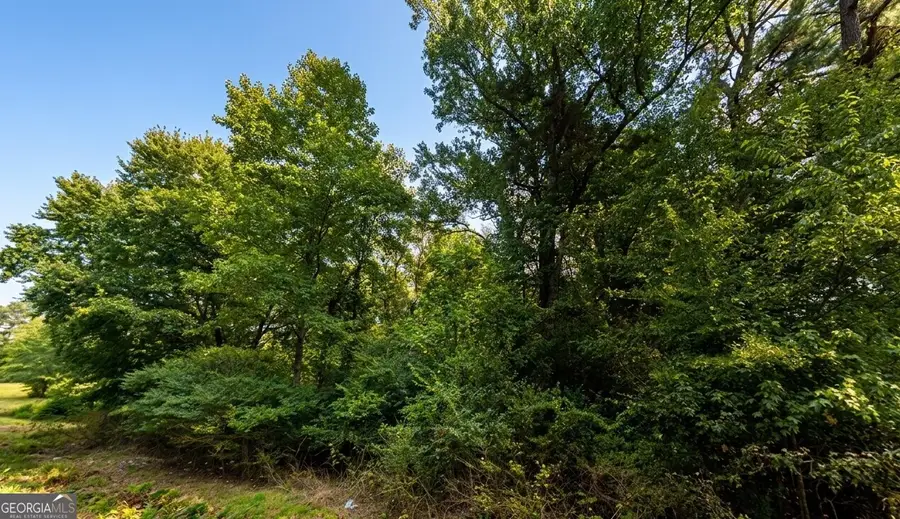 0 County Road 1564, Baileyton, AL 35019 - #2
