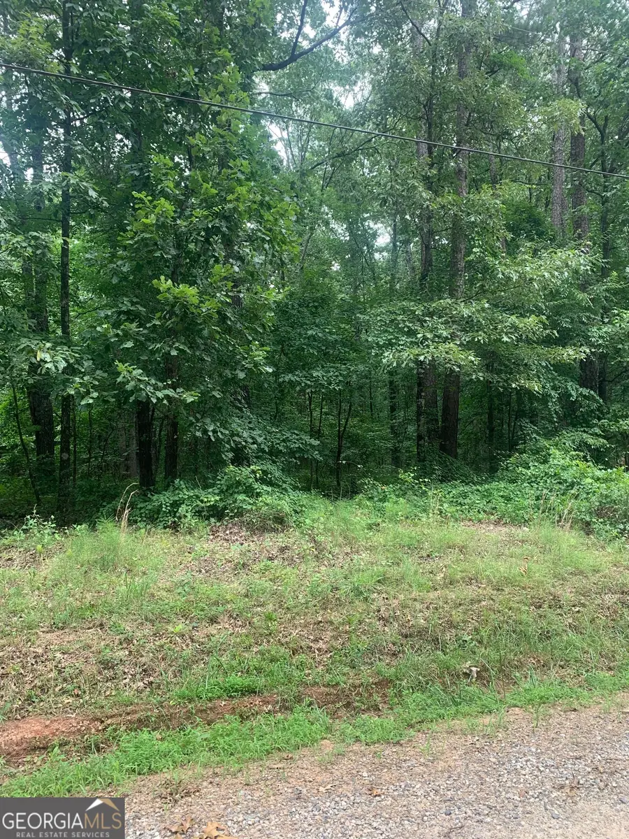 5.008 AC Digby Rd #TRACT II, Covington, GA 30014 - #3