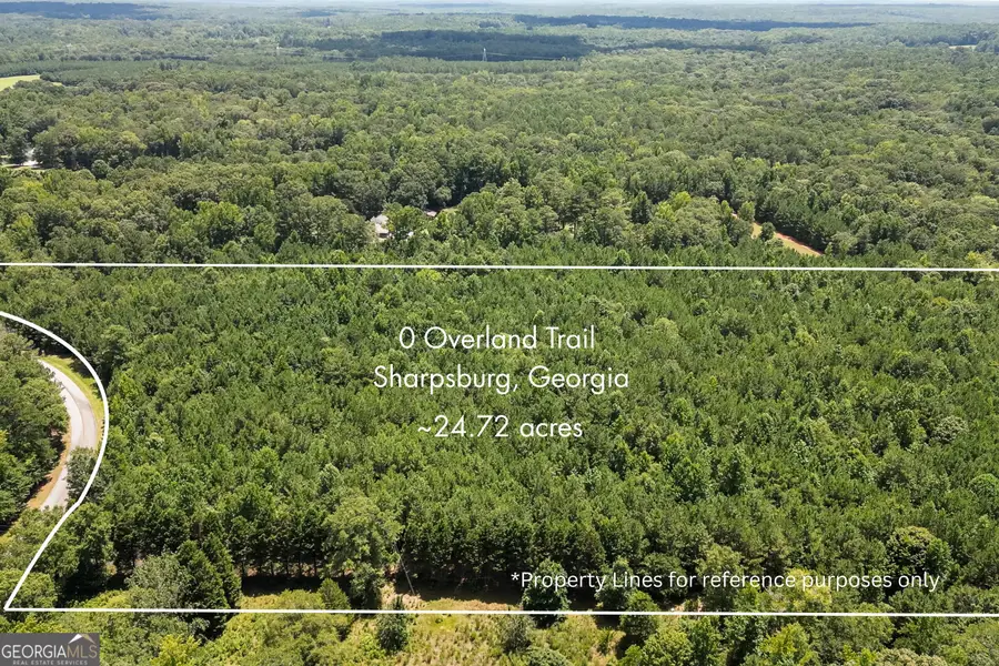 0 Overland Trail, Sharpsburg, GA 30277 - #3