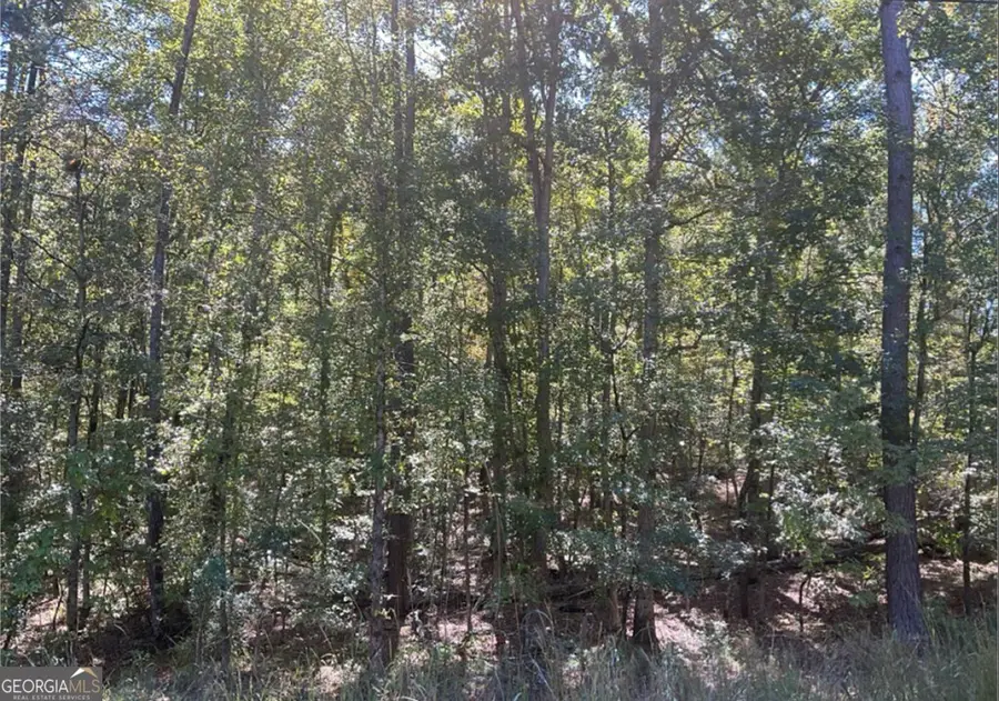 LOT 160 Amaryllis Dr, Sparta, GA 31087 - #2