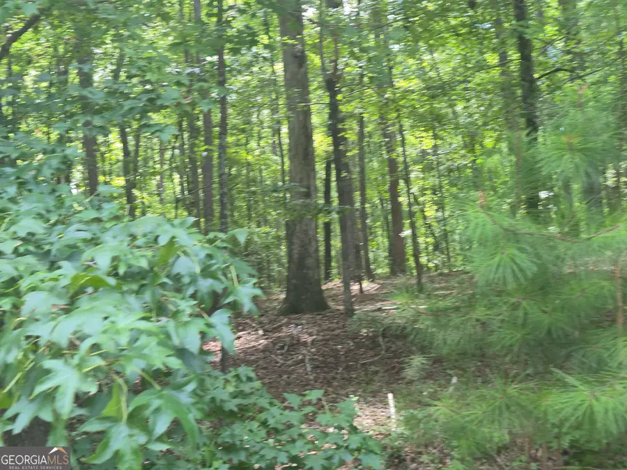 441 S Steel Bridge Road, Eatonton, GA 31024 - #3