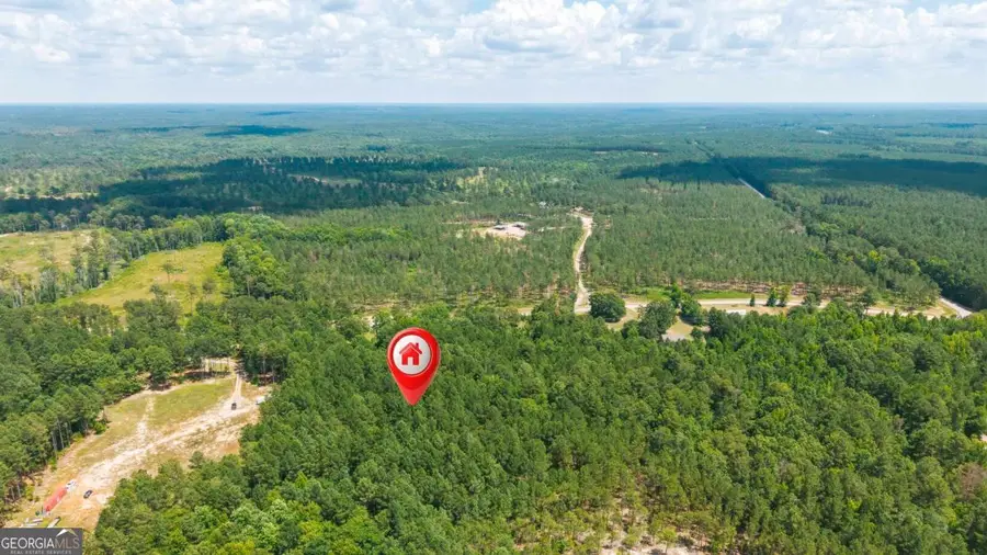 3431 Syrup Mill Crossing, Greensboro, GA 30642 - #2