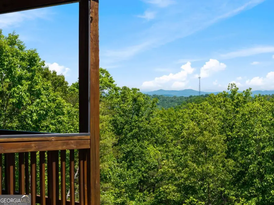 161 Huntington Way #8, Blue Ridge, GA 30513 - #3