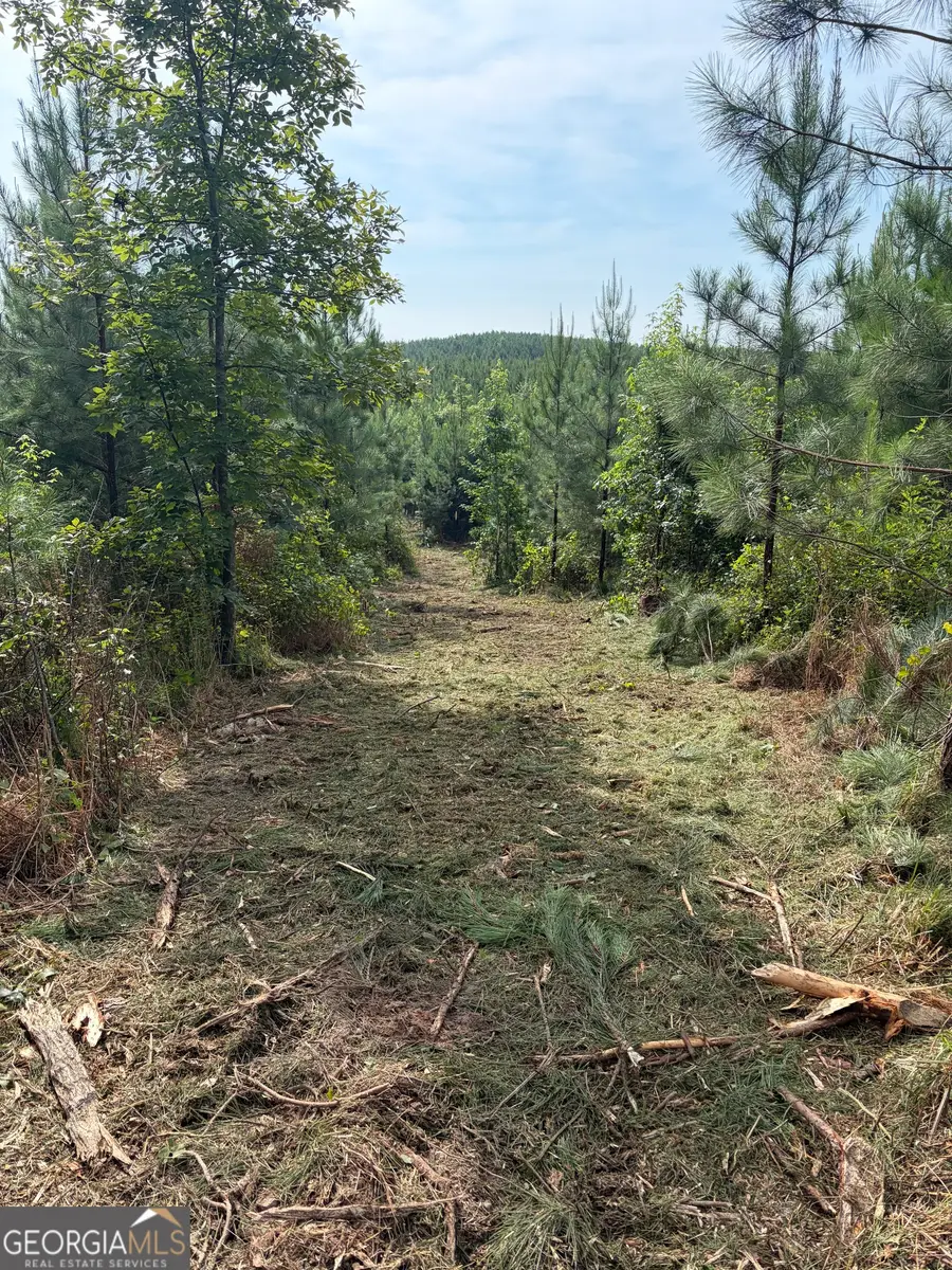 0 John Kay Road, Taylorsville, GA 30178 - #3