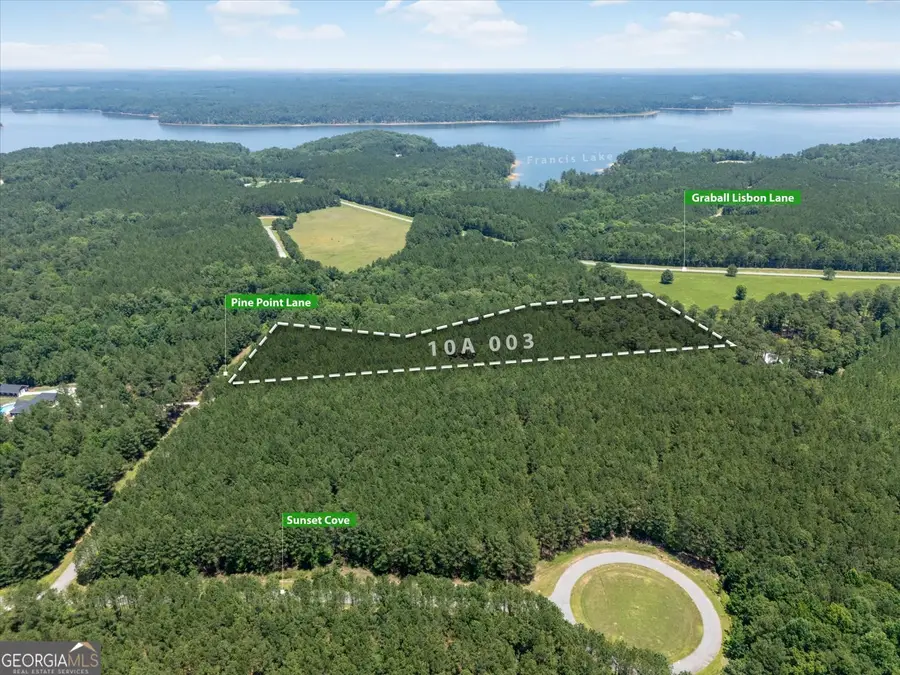 1053 Pine Point Lane, Tignall, GA 30668 - #3