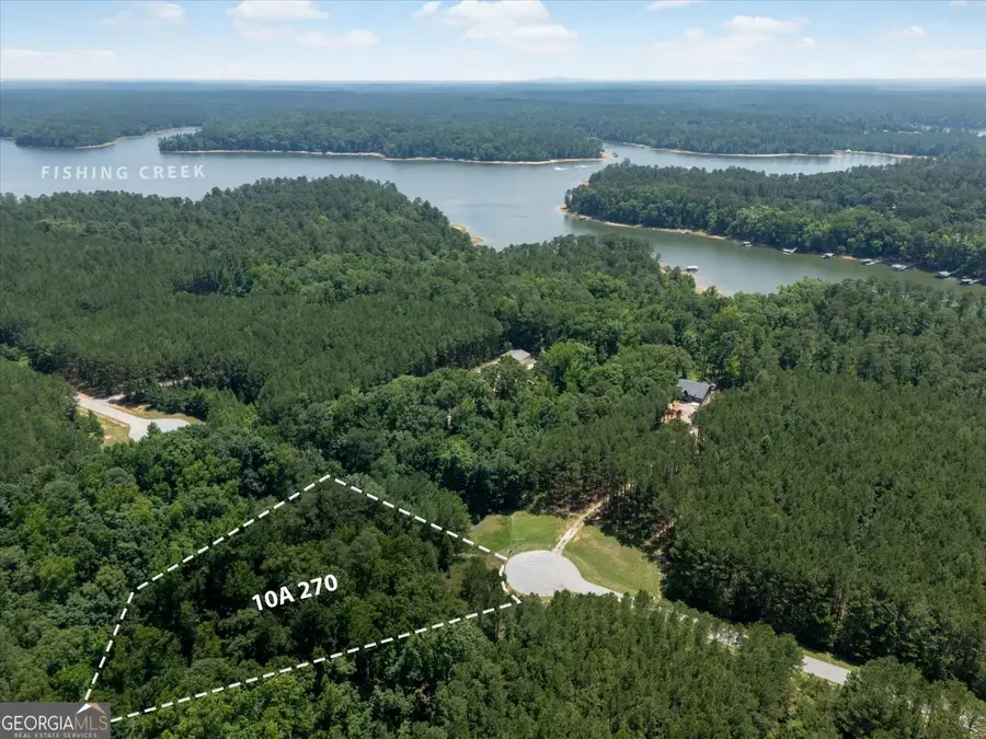 1296 Edge Lane, Tignall, GA 30668 - #2