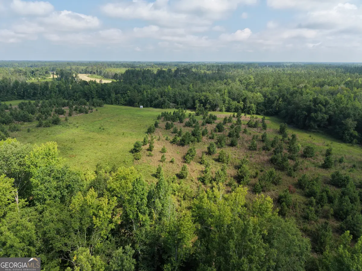 0 Highway 17, Midville, GA 30441 - #1