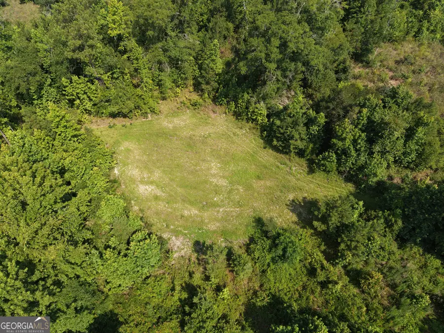 0 Highway 17, Midville, GA 30441 - #2