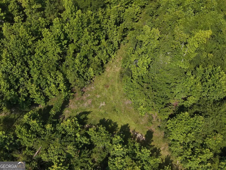 0 Highway 17, Midville, GA 30441 - #3