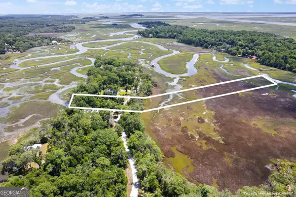 LOT 42 St Joseph's Point, Darien, GA 31305