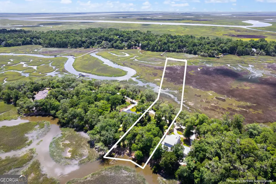 LOT 42 St Joseph's Point, Darien, GA 31305 - #2