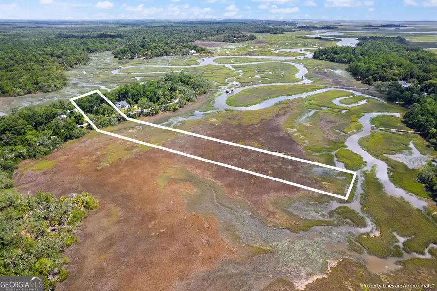 LOT 42 St Joseph's Point, Darien, GA 31305 - #3