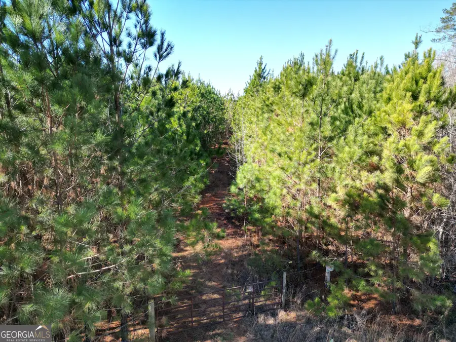 0 Jaudon Road #(22.19 ACRE LOT), Elberton, GA 30635 - #3