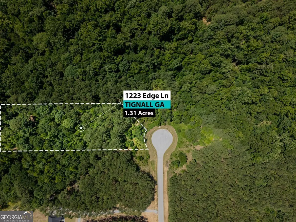 1223 Edge Lane, Tignall, GA 30668 - #1