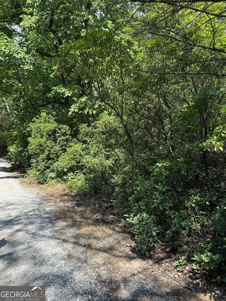 0 Crumley Creek Road #TRACT 2, Sautee Nacoochee, GA 30571 - #2