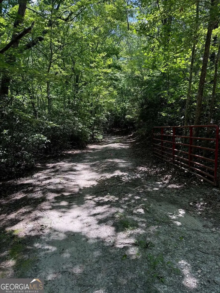 0 Crumley Creek Road #TRACT 2, Sautee Nacoochee, GA 30571 - #3