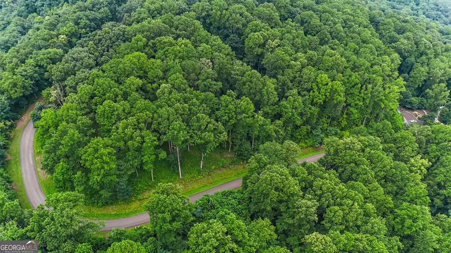 LT 296 Andes Ridge, Ellijay, GA 30536 - #3