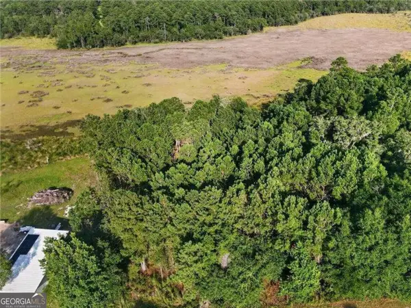 LOT #23 Barnstorm Road Ne, Townsend, GA 31331