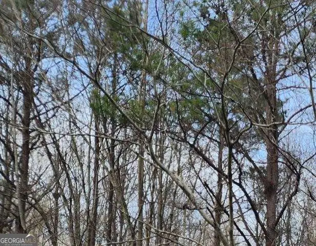 0 U S Highway 80 E, Knoxville, GA 31050 - #2