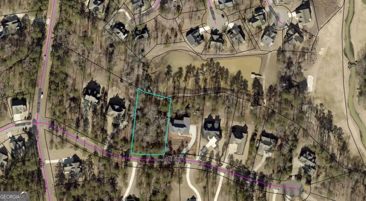 1040 Carnoustie Drive, Greensboro, GA 30642 - #1