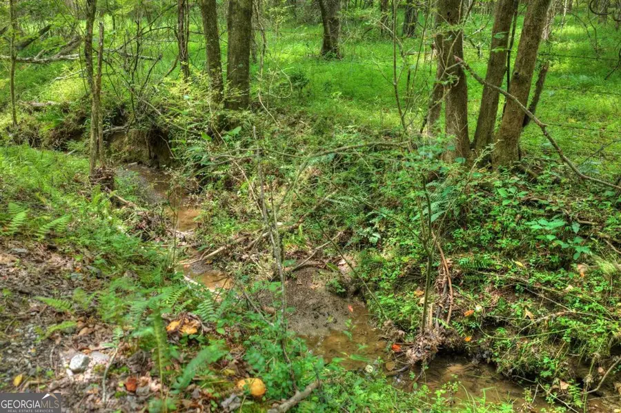 0 Scots Glen Road, Mineral Bluff, GA 30559 - #2