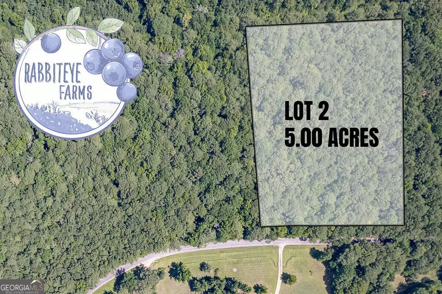 LOT 2 Haynes Road, Moreland, GA 30259 - #2