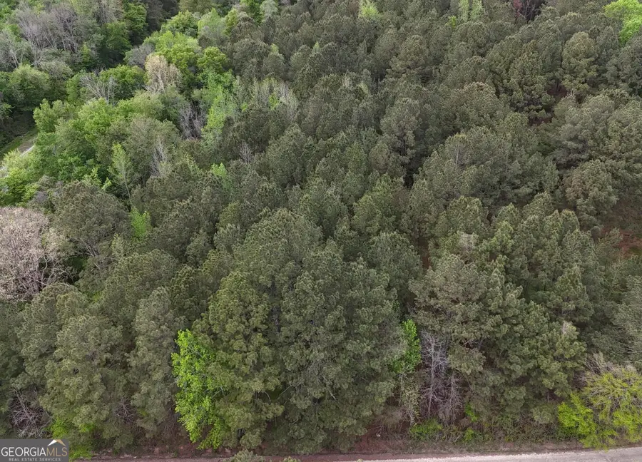0 Plantation Road #TRACT 1, Madison, GA 30650 - #2
