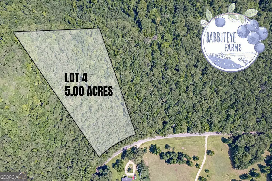 LOT 4 Haynes Road, Moreland, GA 30259 - #2