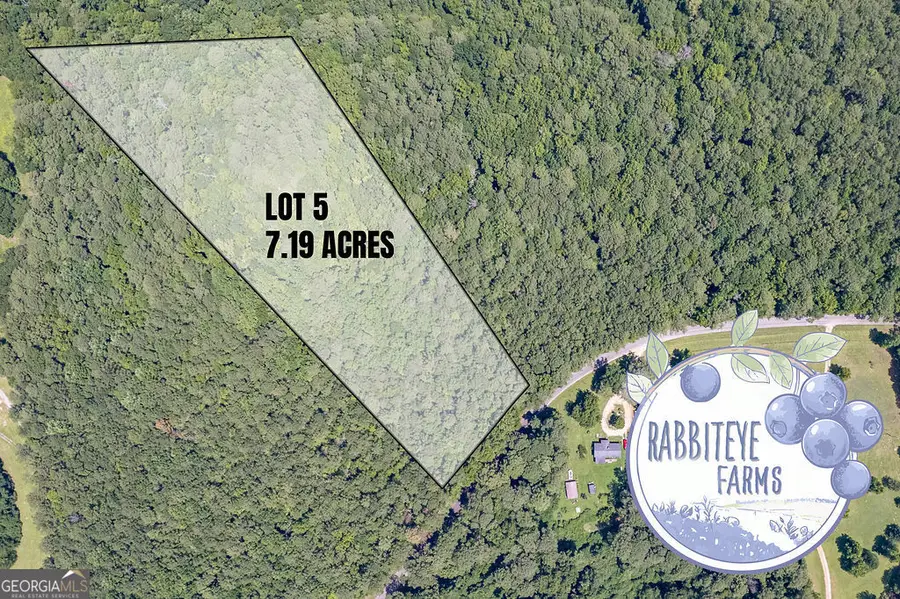 LOT 5 Haynes Road, Moreland, GA 30259 - #2