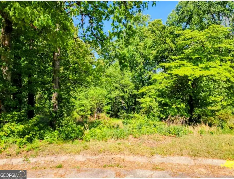 2612 Clay Court, Jonesboro, GA 30236 - #3