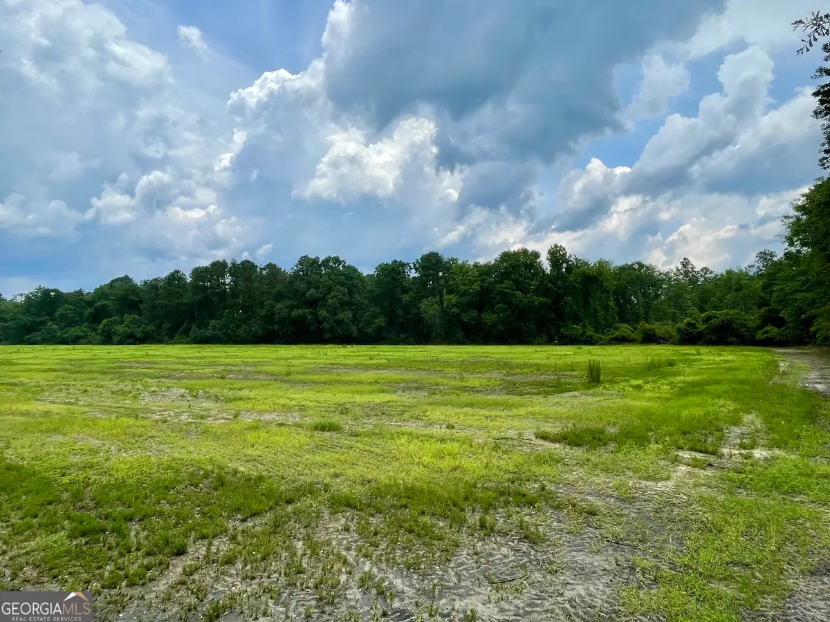 30 Weller's Way, Brooklet, GA 30415 - #1