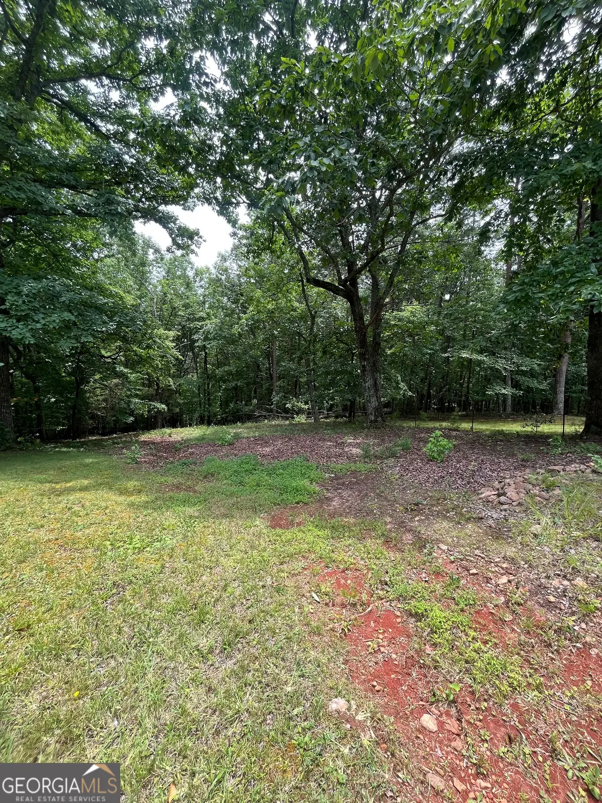 00 White Stone Dr, Cleveland, GA 30528 - #1