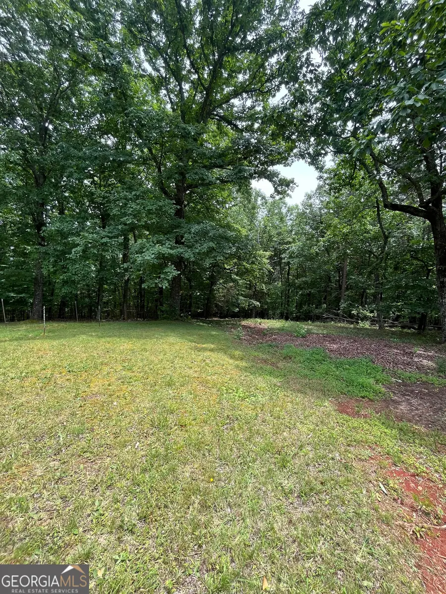 00 White Stone Dr, Cleveland, GA 30528 - #2