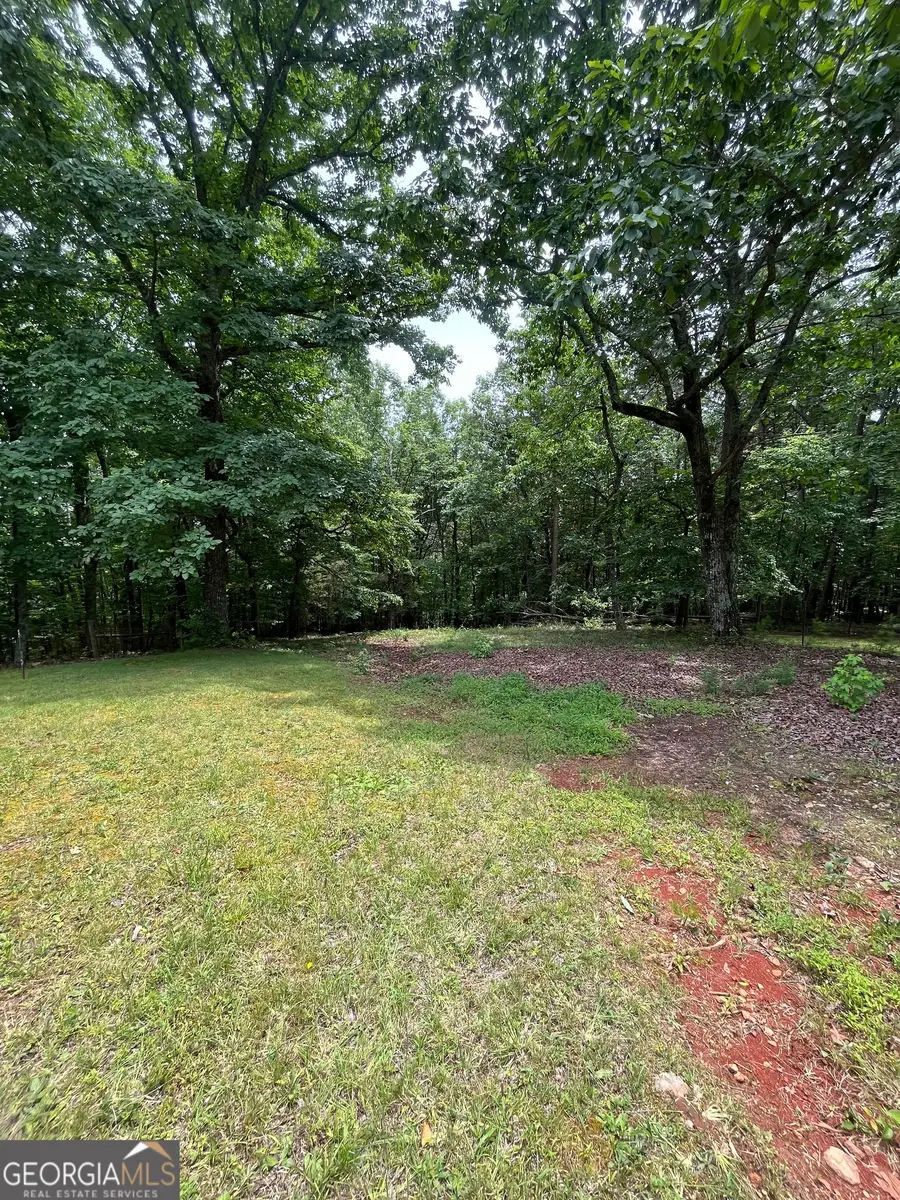00 White Stone Dr, Cleveland, GA 30528 - #3